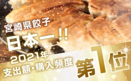 ＜たかなべギョーザ 冷凍ギョーザ 30個 計600g＞2ヶ月以内に順次出荷 餃子 ぎょうざ ギョウザ 惣菜 冷凍 おかず 宮崎県 高鍋町【TVで話題沸騰！】【c1526_tk】