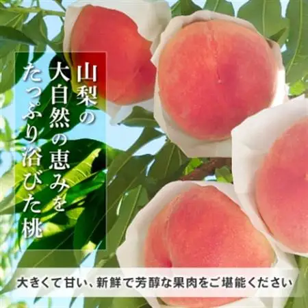 【2026発送予定】山梨県産桃約2kg(5～6玉)大玉で甘い旬の桃|冷蔵・産地直送【配送不可地域：離島】【1178161】