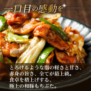 豚  和豚 もちぶた きりおとし  4kg  切落し 切り落し きりおとし 国産 豚肉  katayama006