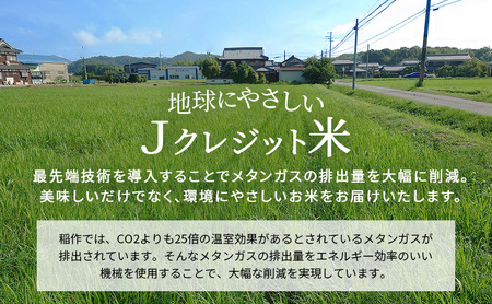 定期便【令和8年 先行受付】しきゆたか 白米 10kg 6か月連続お届け