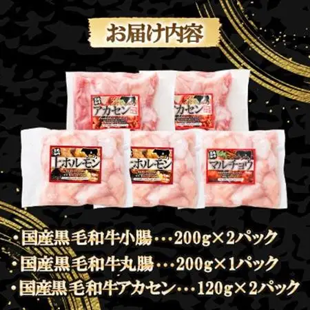 国産黒毛和牛シロホルモンセット　840g A3-383【配送不可地域：離島】【1694678】