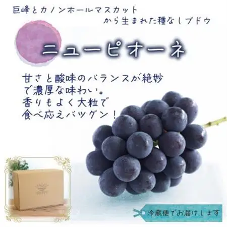 岡山　花笑み農園の『ニューピオーネ』優品　約2kg (3～5房) P-2優【配送不可地域：離島】【1693654】