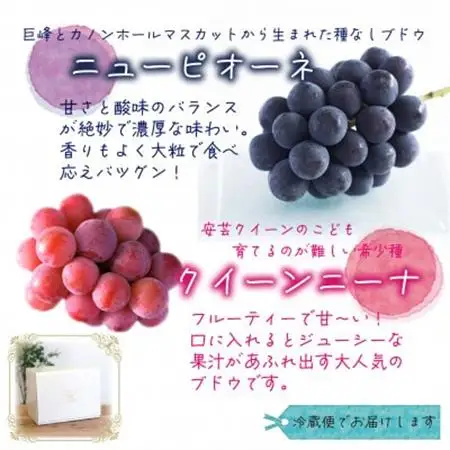 岡山　花笑み農園の『ニューピオーネ＆クイーンニーナ』1kg(2房)PQ-1【配送不可地域：離島】【1693657】
