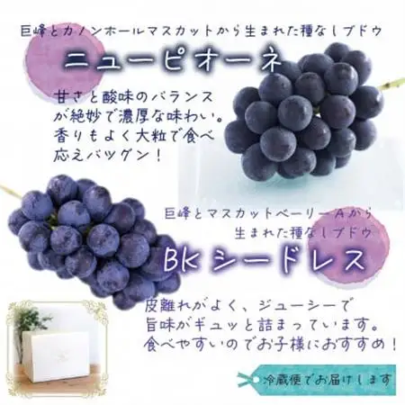 岡山　花笑み農園の『ニューピオーネ＆BKシードレス』1kg(2房)PB-1【配送不可地域：離島】【1693661】