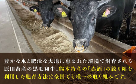 熊本県産 『原田畜産』 黒毛和牛 焼き肉用 スライス 計約900g（約300g×3パック） 牛肉 牛 【有限会社 九州食肉産業】[AYCN135]