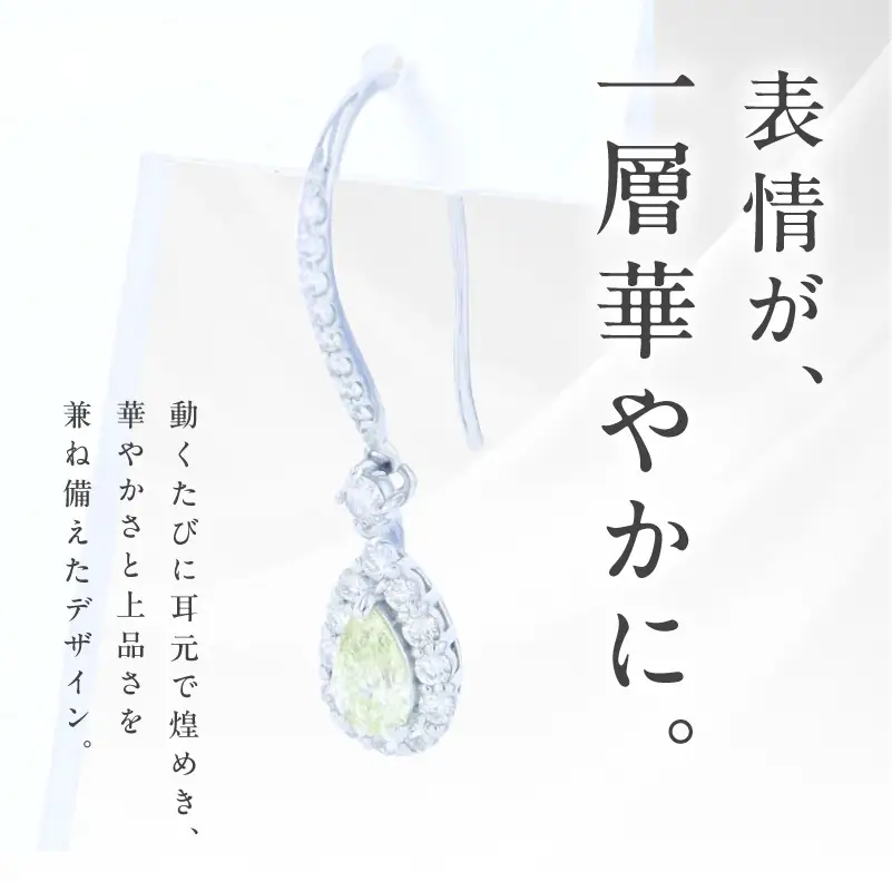 ARC-EN-CIEL PTダイヤピアス(計0.77ct)