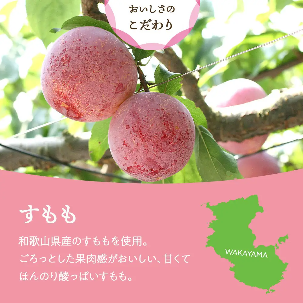 和歌山県産 国産果実 ドライフルーツ すもも 50g×3袋