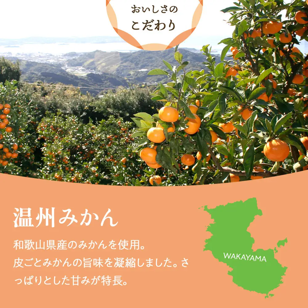 和歌山県産 輪切り果実 ドライフルーツ 温州みかん 65g×3袋