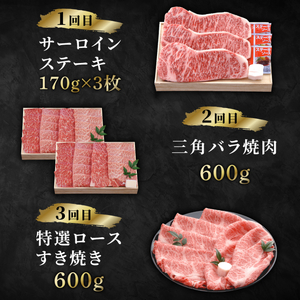 近江牛をまるっと1年お楽しみ【500,000円】（12回定期便）sen15