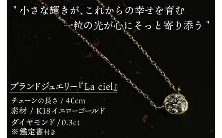 ネックレス K18 Diamond Drop necklace　【ネックレス 18金 ダイヤモンド イエローゴールド 鑑定書付き アクセサリー ギフト 高品質 ショップバック　ご褒美 茨城県 鹿嶋市】（KBD-61）