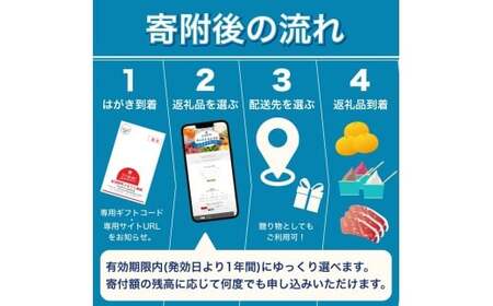 あとからセレクト 【ふるさとギフト】 6千円分 みかん 梅干し 梅酒 牛肉   海鮮 海の幸 柑橘 フルーツ 訳あり 駆け込み 後から選べる ゆっくり選べる 送料無料 定期便 【 和歌山県 紀美野町 】 【atokara002】
