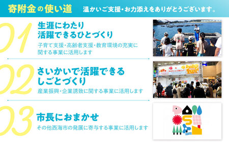 【返礼品なし】 長崎県 西海市 ふるさと応援寄附金（1万円分）【長崎県西海市】[CZZ033]