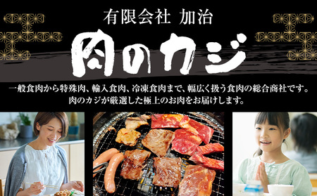 常陸牛黒毛和牛サーロインステーキ900g有限会社加治 肉のカジ《30日以内に出荷予定(土日祝除く) 》国産牛【配送不可地域あり】（沖縄・離島）