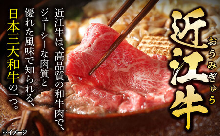 近江牛 ロースセット800g [AQDB030] すき焼き用 焼肉
