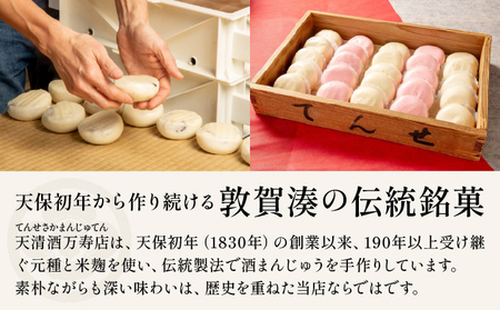 天清の酒まんじゅう 10個セット [050-a004]