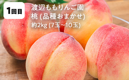 【2026年9月から発送開始】鏡石町 まきばのフルーツ定期便（桃約2kg・和梨約3kg・シャインマスカット2房・りんご約5kg・いちご約500g）モモ もも ナシ なし ブドウ ぶどう リンゴ イチゴ 苺 福島県 鏡石町  F6Q-389