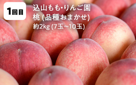 【2026年発送】鏡石町 まきばのフルーツ定期便（桃2kg・和梨3kg・りんご5kg）モモ もも ナシ なし リンゴ 福島県 鏡石町  F6Q-390