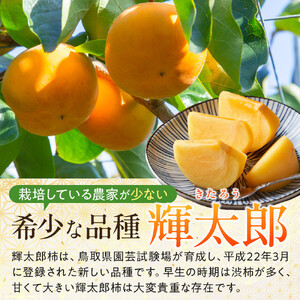 1258.【先行予約】輝太郎柿　赤秀3kg（7～10玉）