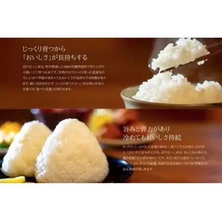 令和7年産米　京都府与謝野町産コシヒカリ「京の豆っこ米」精米5kg　山口農園こだわりの特別栽培米【1696447】