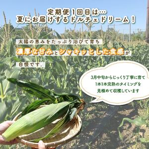 野菜【 全2回 定期便 】 野菜 とうもろこし しいたけ JGAP 先行予約