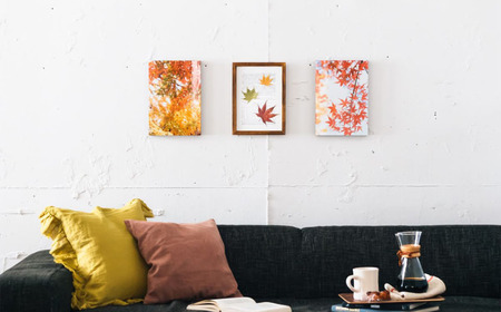 富士フイルム WALL DECOR カジュアル A3 （ 面種: クリスタル ･ パール ･ ディープマット ･ ラスター から選択） | インテリア 写真 フォト 
