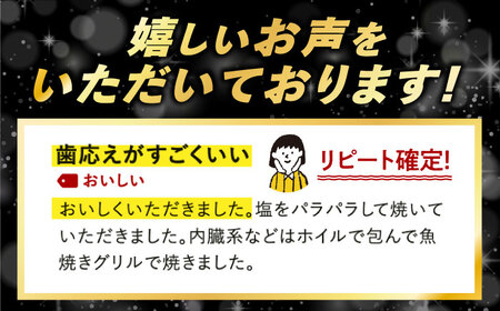 【全12回】鶏肉 一黒シャモ 1kg 冷凍 [XAH010] 鶏肉