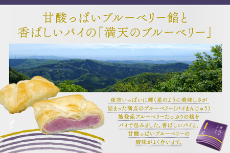 お菓子 個包装 満天のブルーベリー 10個入 [谷口製菓 石川県 宝達志水町 38601295] 
