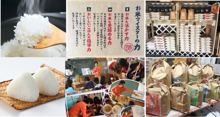 愛知県産 ミルキークイーン 5kg 米 お米 コメ こめ おにぎり 弁当 愛知県 美浜町 新米 ※北海道・沖縄・離島への配送不可