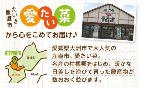  野菜 定期便【全12回】（8種以上） 野菜 セット[AGAP011]