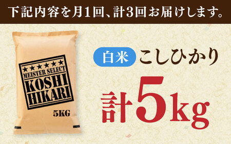 【全3回定期便】令和7年産 こしひかり 白米 5kg / 五つ星お米マイスター厳選 お米 ふるさと納税 A評価 / 佐賀県 / 大塚米穀店 [41ANAD036]