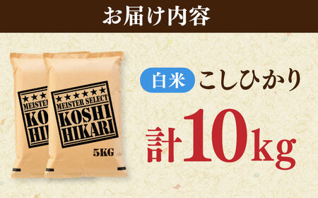 令和7年産 こしひかり 白米 10kg（5kg×2袋） / 白米 / 佐賀県 / 大塚米穀店 [41ANAD038]