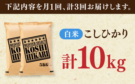 【全3回定期便】令和7年産 こしひかり 白米 10kg（5kg×2袋） / 五つ星お米マイスター厳選お米 ふるさと納税 A評価  / 佐賀県 / 大塚米穀店 [41ANAD039]