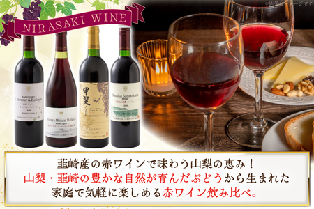 赤ワイン 4本 飲み比べセット　750ml×4本 [株式会社まあめいく 山梨県 韮崎市 20745328] 