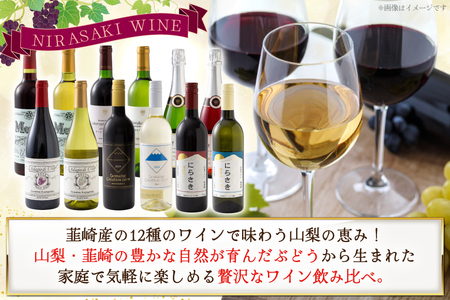 韮崎産 赤白スパークリング12本 お得な飲み比べセット 750ml ×11本 720ml ×1本 [株式会社まあめいく 山梨県 韮崎市 20745323] 