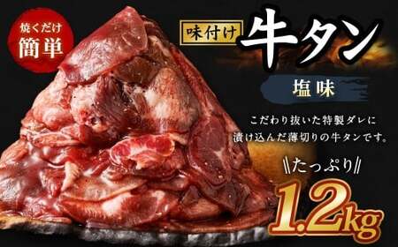味付き牛タン 【 塩味 】 400g × 3P 計 1.2kg 牛たん タン 牛肉 お肉 肉 薄切り 特製ダレ 冷凍 保存 熊本県 あさぎり町