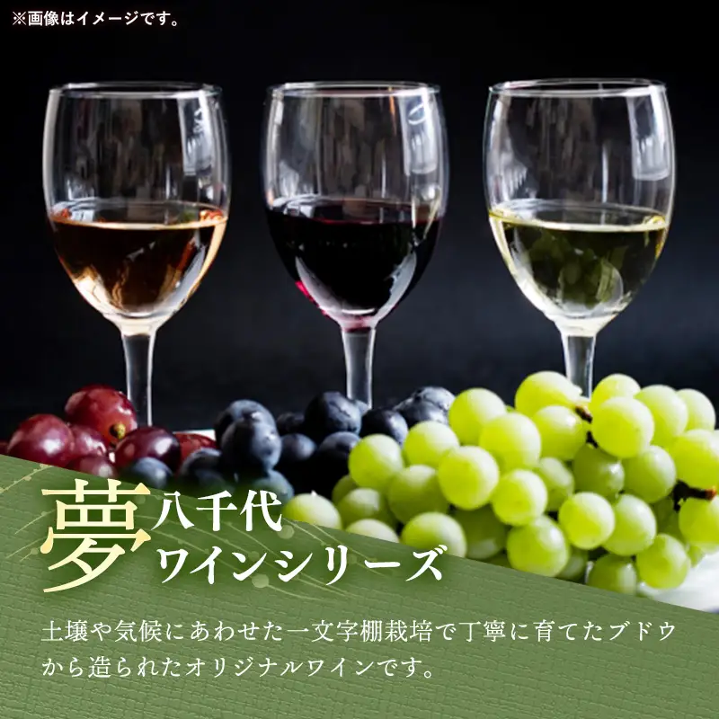 八千代夢ワイン シリーズ きぬ（白ワイン）1本（茨城県共通返礼品・八千代町） ／ 国産 酒 アルコール ぶどう ギフト