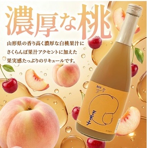 SB0836　酒田の酒屋厳選　楯の川 BARヨー子 モモ子　720ml×2本