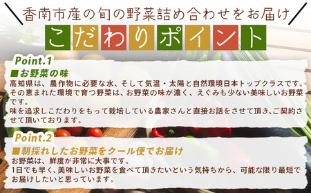 こだわりの新鮮野菜 4回定期 Waf-0004