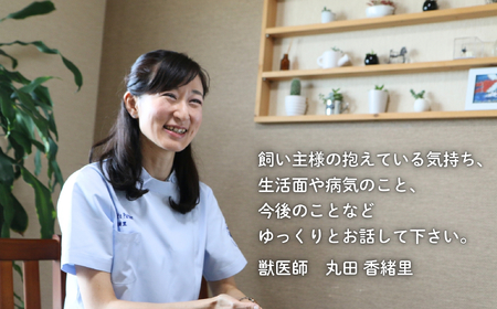 ペットカウンセリング 60分予約券