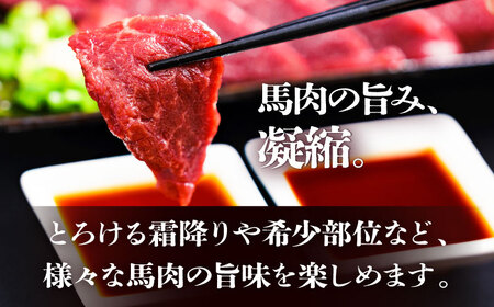 純国産馬 馬刺し極上フルセット計約330g BHDF015 馬刺し