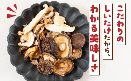 【お試し】乾燥 しいたけ 約 40g お試し サイズ 混合 不揃い おまかせ 簡易梱包 訳あり 訳アリ BBQ 野菜 栽培期間中 農薬不使用 岐阜県産 本巣市 国産 きのこ キノコ シイタケ 産地直送 新鮮 数量限定 常温 モトスマッシュ [mt1916] 6000円