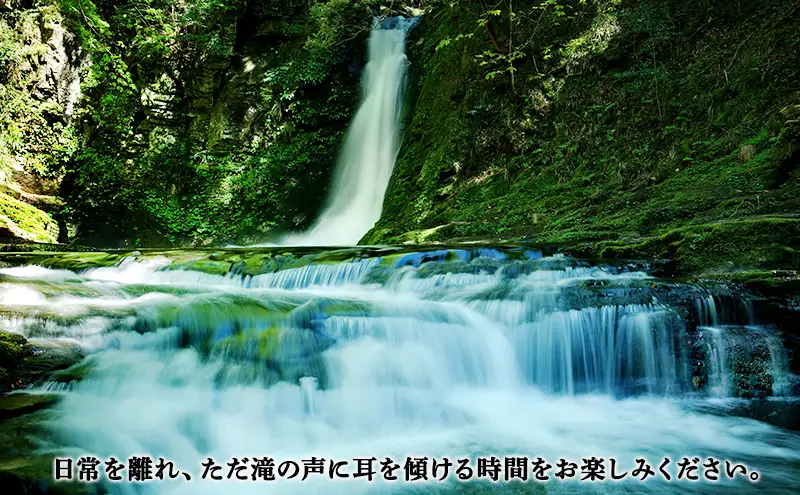 【光と水の幻想体験】赤目四十八滝招待券（1名様）| チケット 券 お出かけ 体験