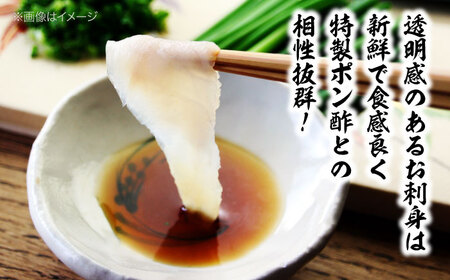 とらふぐ（3人前）天然とらふぐ うすづくり 刺身[AGBP001] 