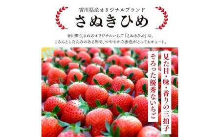 2027年発送 いちご さぬきひめ 約2kg 苺いちご