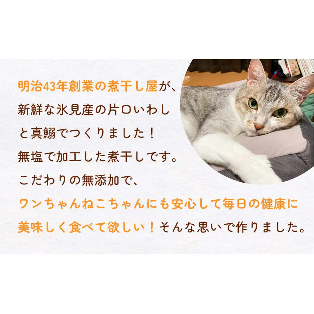 無塩加工煮干し 煮干し屋のわんにゃんおやつ 70g×10袋 無塩 煮干し 鰯 ペットフード 人間も可  犬 猫 富山県 氷見市