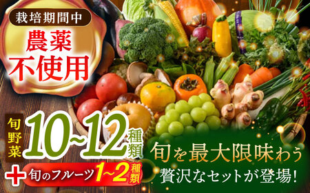 【全12回】 野菜×果物 定期便（11〜14種）果物 フルーツ[AGBX008]