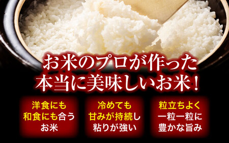 お米 定期便【全6回定期便】白米+旬野菜 お米定期便[AGBX010]