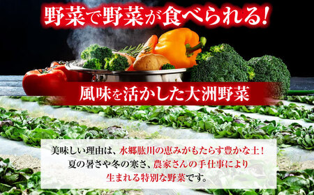 野菜セット（12-16種）野菜 詰め合わせ [AGBX003]