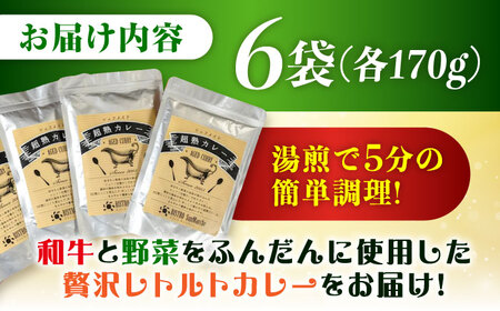 【贈答用】手作りビーフカレー 6食入り /ヒロファミリーフーズ[AGBX016] カレー