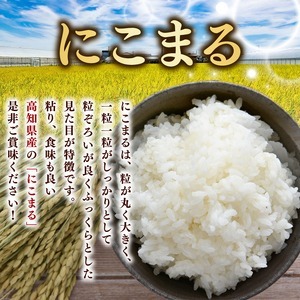 【令和8年産】 米 にこまる 計 30kg 定期便 5kg × 6回